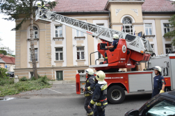 Megkezdődött a favágás