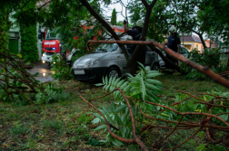 Parkoló személyautóra dőlt egy fa