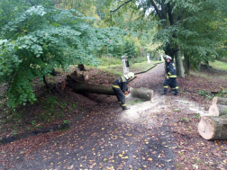 Motoros láncfűrésszel avatkoztak be