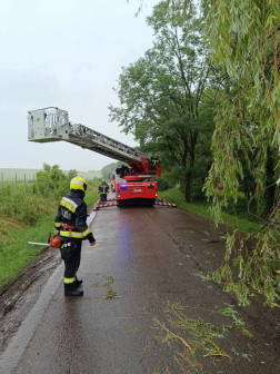 Favágás létraszerrel