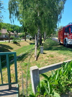 A másik kidőlt oszlop