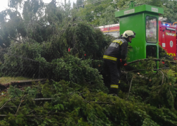 Katasztrófavédelem