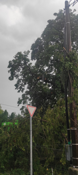 Katasztrófavédelem