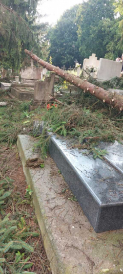 Katasztrófavédelem