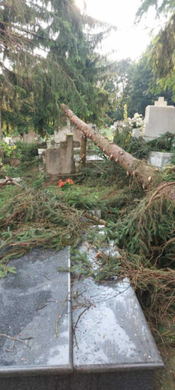 Katasztrófavédelem