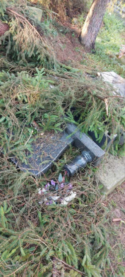 Katasztrófavédelem