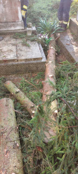 Katasztrófavédelem