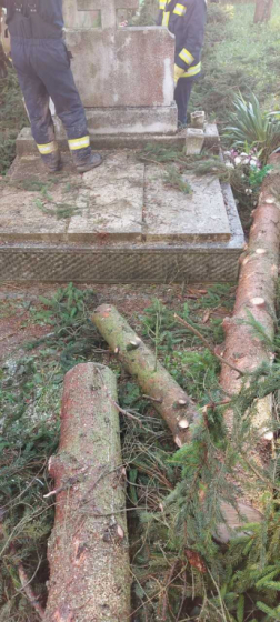 Katasztrófavédelem