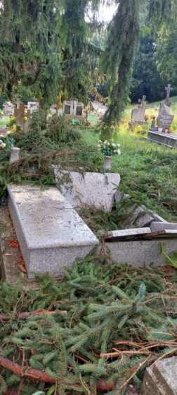 Katasztrófavédelem