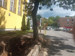 Katasztrófavédelem