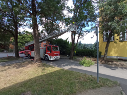 Katasztrófavédelem