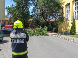 Katasztrófavédelem