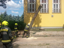 Katasztrófavédelem