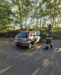 Katasztrófavédelem