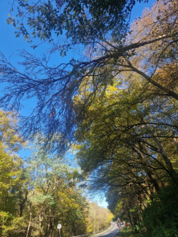 Katasztrófavédelem