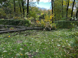 Katasztrófavédelem