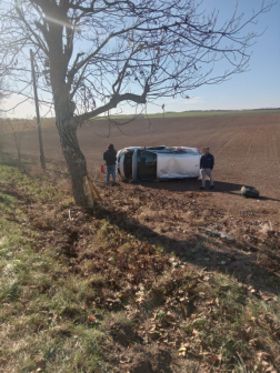 Katasztrófavédelem