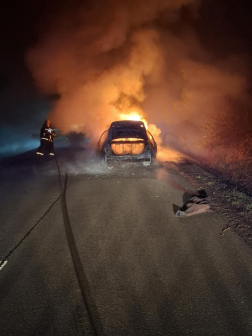 Katasztrófavédelem