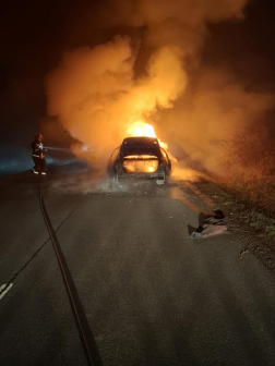 Katasztrófavédelem