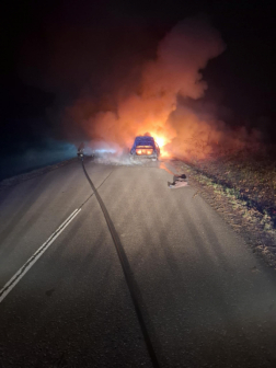 Katasztrófavédelem