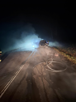 Katasztrófavédelem