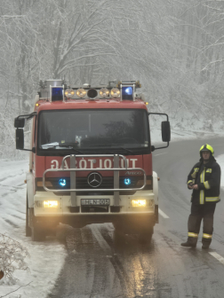 Kidőlt fa eltávolításának helyszíne Salgótarjánban