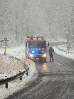Kidőlt fa eltávolításának helyszíne Salgótarjánban