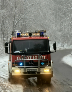 Kidőlt fa eltávolításának helyszíne Salgótarjánban