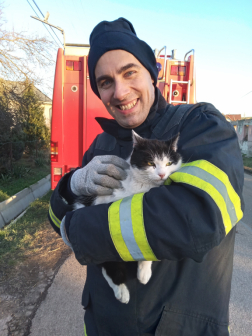 Bajba jutott macskát mentettek a tűzoltók Szirákon