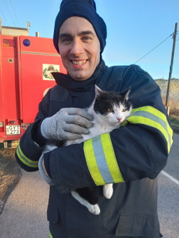 Bajba jutott macskát mentettek a tűzoltók Szirákon