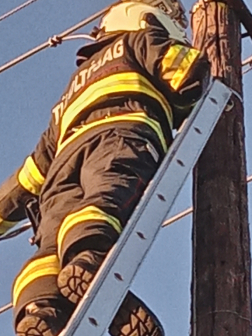 Bajba jutott macskát mentettek a tűzoltók Szirákon