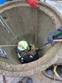 Kútba zuhant kölyökkutyát mentettek a tűzoltók Terényben