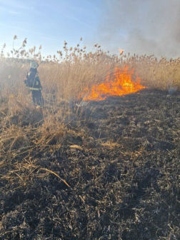 Szabadtéri tűz Szirákon