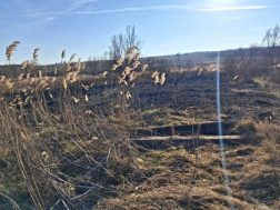 Szabadtéri tűz Szirákon