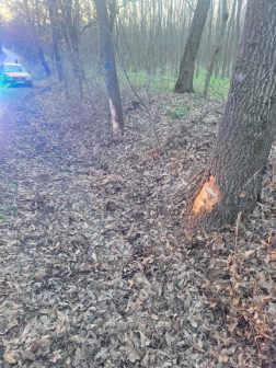 Közúti baleset Nógrádsáp és Nézsa között