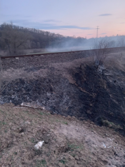 Szabadtéri tűz Acsa és Püspökhatvan között
