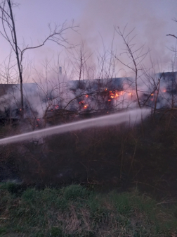Szabadtéri tűz Acsa és Püspökhatvan között