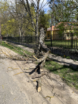 Kidőlt fák eltávolítása Csitáron és Ipolyszög közelében