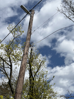 Kidőlt fák eltávolítása Csitáron és Ipolyszög közelében