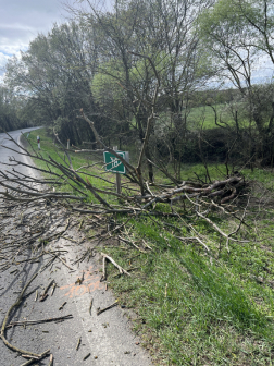 Kidőlt fák eltávolítása Csitáron és Ipolyszög közelében