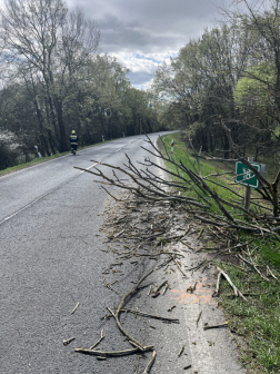 Kidőlt fák eltávolítása Csitáron és Ipolyszög közelében