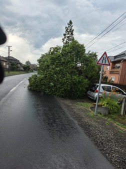 Fakidőlés Kazáron