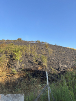 Vegetációs tűz Nógrádmegyerben