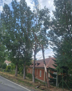 Beavatkozás Rádon