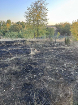 Szabadtéri tűz Tereskén