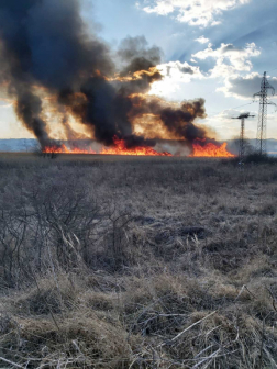 Szabadtéri tűz Bátonyterenyén