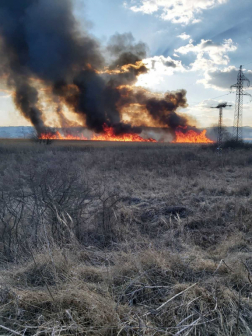 Szabadtéri tűz Bátonyterenyén